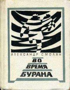Читайте книги онлайн на Bookidrom.ru! Бесплатные книги в одном клике Александр Смолян - Во время бурана