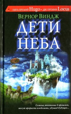 Читайте книги онлайн на Bookidrom.ru! Бесплатные книги в одном клике Вернор Виндж - Дети неба