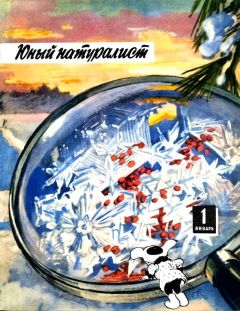 Читайте книги онлайн на Bookidrom.ru! Бесплатные книги в одном клике К. Мазовский - Экспедиция возвращается с Марса