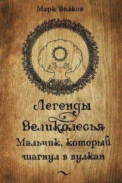 Читайте книги онлайн на Bookidrom.ru! Бесплатные книги в одном клике Марк Волков - Легенды Великолесья. Мальчик, который шагнул в вулкан