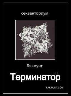 Читайте книги онлайн на Bookidrom.ru! Бесплатные книги в одном клике Лякмунт - Терминатор