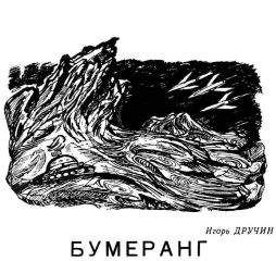 Читайте книги онлайн на Bookidrom.ru! Бесплатные книги в одном клике Игорь Дручин - Бумеранг