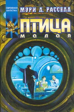 Читайте книги онлайн на Bookidrom.ru! Бесплатные книги в одном клике Мэри Расселл - Птица малая
