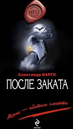 Читайте книги онлайн на Bookidrom.ru! Бесплатные книги в одном клике Александр Варго - После заката