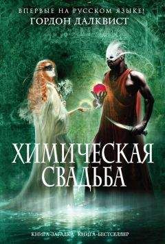 Читайте книги онлайн на Bookidrom.ru! Бесплатные книги в одном клике Гордон Далквист - Химическая свадьба