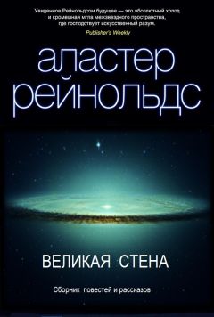 Читайте книги онлайн на Bookidrom.ru! Бесплатные книги в одном клике Аластер Рейнольдс - Великая стена