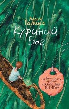 Читайте книги онлайн на Bookidrom.ru! Бесплатные книги в одном клике Мария Галина - Куриный Бог (сборник)