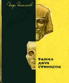 Читайте книги онлайн на Bookidrom.ru! Бесплатные книги в одном клике Игорь Васильков - Тайна двух сфинксов