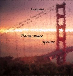 Читайте книги онлайн на Bookidrom.ru! Бесплатные книги в одном клике Хитрюга - Настоящее зрение (СИ)