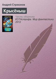 Читайте книги онлайн на Bookidrom.ru! Бесплатные книги в одном клике Андрей Страканов - Крысёныш