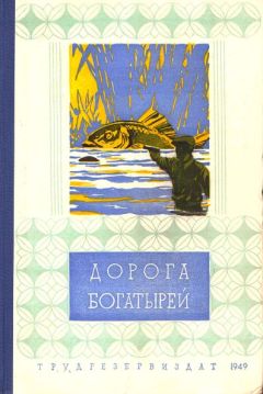 Читайте книги онлайн на Bookidrom.ru! Бесплатные книги в одном клике Сергей Болдырев - Загадка ракеты «Игла-2»