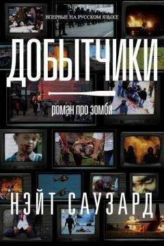 Читайте книги онлайн на Bookidrom.ru! Бесплатные книги в одном клике Нэйт Саузард - Добытчики