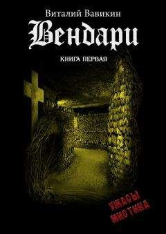 Читайте книги онлайн на Bookidrom.ru! Бесплатные книги в одном клике Виталий Вавикин - Вендари. Книга первая