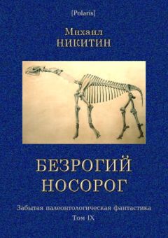 Читайте книги онлайн на Bookidrom.ru! Бесплатные книги в одном клике Михаил Никитин - Безрогий носорог