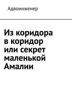 Читайте книги онлайн на Bookidrom.ru! Бесплатные книги в одном клике Адвоинженер - Из коридора в коридор или секрет маленькой Амалии