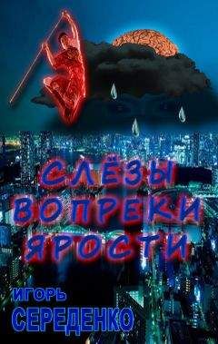 Читайте книги онлайн на Bookidrom.ru! Бесплатные книги в одном клике Игорь Середенко - Слёзы вопреки ярости