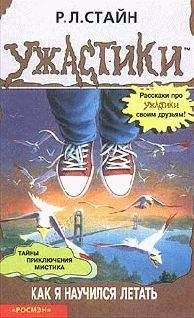 Читайте книги онлайн на Bookidrom.ru! Бесплатные книги в одном клике Роберт Стайн - Как я научился летать