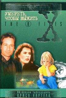 Читайте книги онлайн на Bookidrom.ru! Бесплатные книги в одном клике Николай Романецкий - Истошные сны