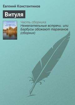 Читайте книги онлайн на Bookidrom.ru! Бесплатные книги в одном клике Евгений Константинов - Витуля