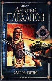 Читайте книги онлайн на Bookidrom.ru! Бесплатные книги в одном клике Андрей Плеханов - Слепое пятно
