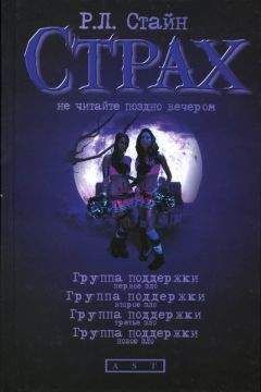 Читайте книги онлайн на Bookidrom.ru! Бесплатные книги в одном клике Роберт Стайн - Группа поддержки. Второе зло