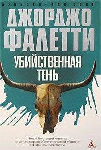 Читайте книги онлайн на Bookidrom.ru! Бесплатные книги в одном клике Джорджо Фалетти - Убийственная тень