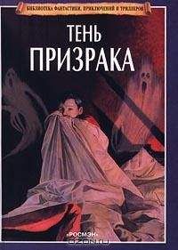 Читайте книги онлайн на Bookidrom.ru! Бесплатные книги в одном клике Майк Стокс - Тень призрака