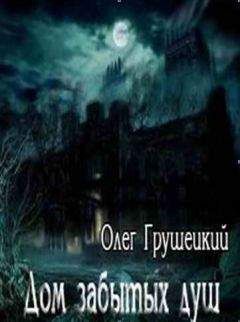 Читайте книги онлайн на Bookidrom.ru! Бесплатные книги в одном клике Олег Грушецкий - Дом забытых душ [СИ]