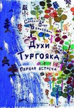 Читайте книги онлайн на Bookidrom.ru! Бесплатные книги в одном клике Олег Соломатов - Духи Тургояка. Первая встреча