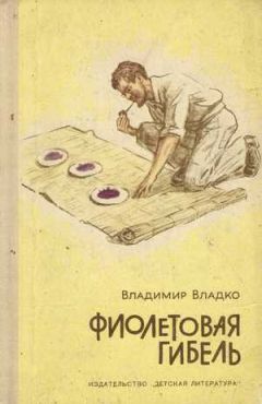 Читайте книги онлайн на Bookidrom.ru! Бесплатные книги в одном клике Владимир Владко - Фиолетовая гибель