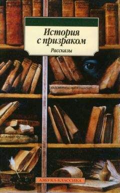 Читайте книги онлайн на Bookidrom.ru! Бесплатные книги в одном клике Александр Чамеев - История с призраком