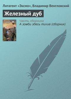 Читайте книги онлайн на Bookidrom.ru! Бесплатные книги в одном клике Владимир Венгловский - Железный дуб