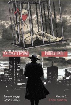 Читайте книги онлайн на Bookidrom.ru! Бесплатные книги в одном клике Александр Студницын - Алая завеса