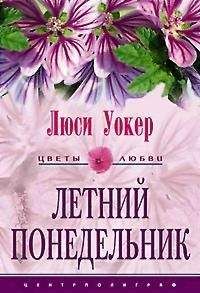 Читайте книги онлайн на Bookidrom.ru! Бесплатные книги в одном клике Люси Уокер - Летний понедельник