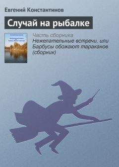 Читайте книги онлайн на Bookidrom.ru! Бесплатные книги в одном клике Евгений Константинов - Случай на рыбалке