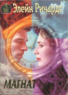 Читайте книги онлайн на Bookidrom.ru! Бесплатные книги в одном клике Элейн Ричардс - Магнат