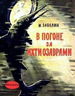 Читайте книги онлайн на Bookidrom.ru! Бесплатные книги в одном клике Игорь Забелин - В погоне за ихтиозаврами