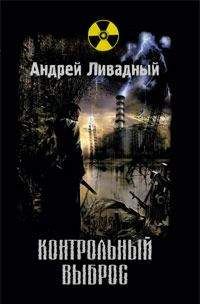 Читайте книги онлайн на Bookidrom.ru! Бесплатные книги в одном клике Андрей Ливадный - Контрольный выброс
