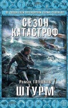 Читайте книги онлайн на Bookidrom.ru! Бесплатные книги в одном клике Роман Глушков - Штурм