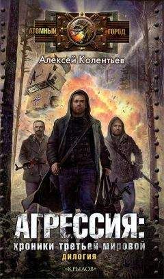 Читайте книги онлайн на Bookidrom.ru! Бесплатные книги в одном клике Алексей Колентьев - Партизаны третьей мировой. Главный противник