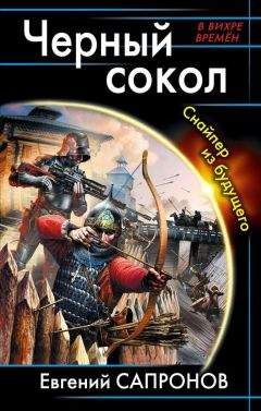 Читайте книги онлайн на Bookidrom.ru! Бесплатные книги в одном клике Евгений Сапронов - Черный сокол. Снайпер из будущего