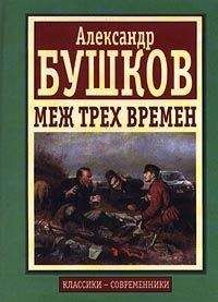 Читайте книги онлайн на Bookidrom.ru! Бесплатные книги в одном клике Александр Бушков - Меж трех времен