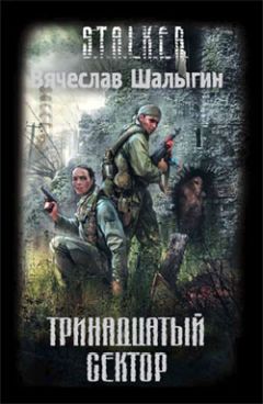 Читайте книги онлайн на Bookidrom.ru! Бесплатные книги в одном клике Вячеслав Шалыгин - Тринадцатый сектор