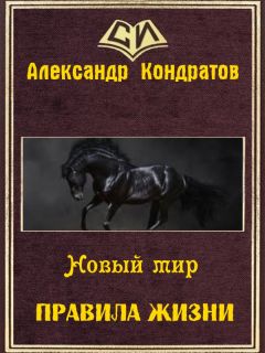 Читайте книги онлайн на Bookidrom.ru! Бесплатные книги в одном клике Александр Кондратов - Новый мир. Правила жизни