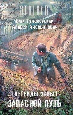 Читайте книги онлайн на Bookidrom.ru! Бесплатные книги в одном клике Андрей Амельянович - Запасной путь