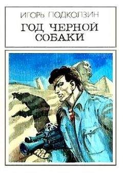 Читайте книги онлайн на Bookidrom.ru! Бесплатные книги в одном клике Игорь Подколзин - Год черной собаки. Фантастический роман