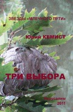 Читайте книги онлайн на Bookidrom.ru! Бесплатные книги в одном клике Юрий Кемист - Три выбора
