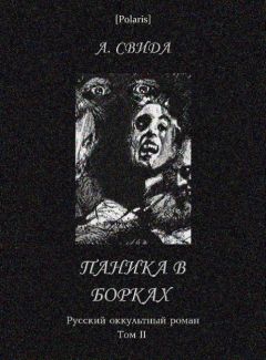 Читайте книги онлайн на Bookidrom.ru! Бесплатные книги в одном клике Александра Свида - Паника в Борках